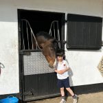 Horse bonding over the stable door
